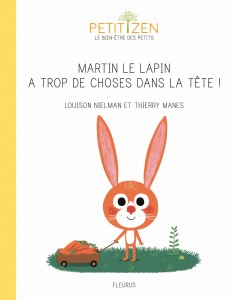 martin-le-lapin-a-trop-de-choses-dans-la-tete-17641-300-300
